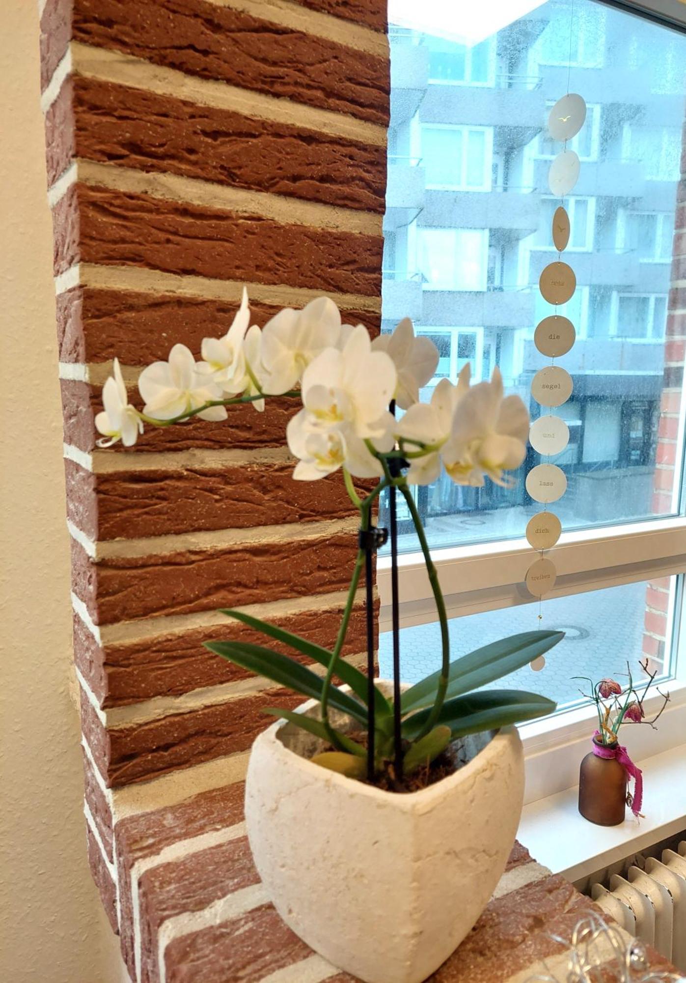 Hotel Villa Weststrand ボルクム エクステリア 写真